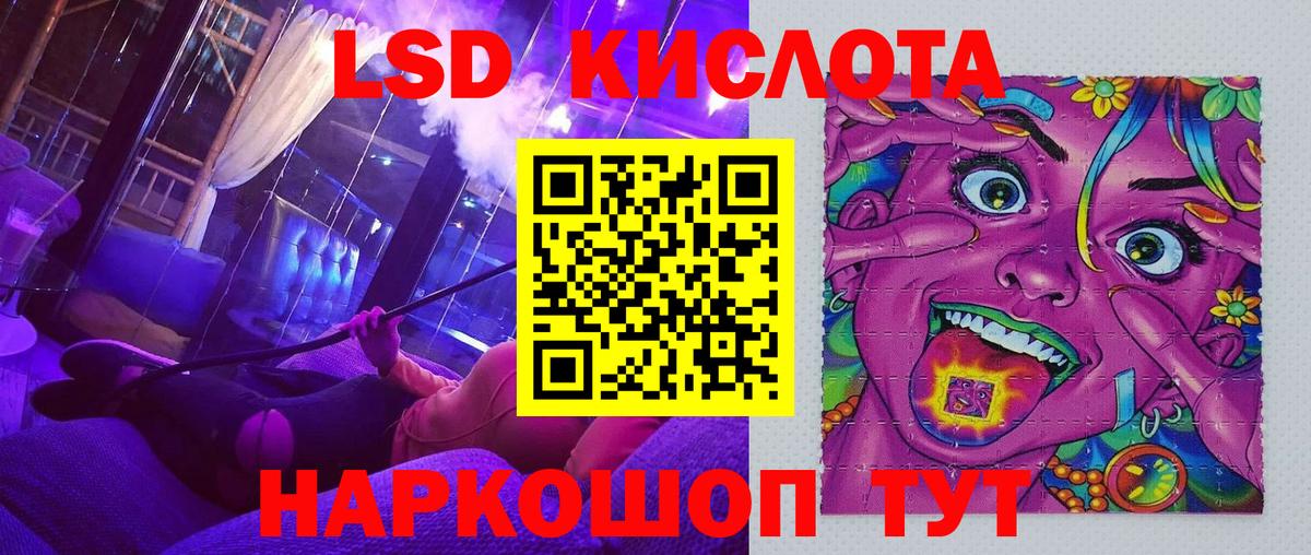 A PVP Димитровград