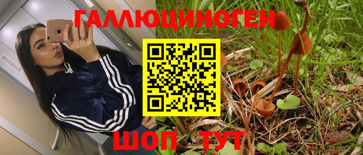 Галлюциногенные грибы MAGIC MUSHROOMS  цена   Димитровград  Вход с VPN 